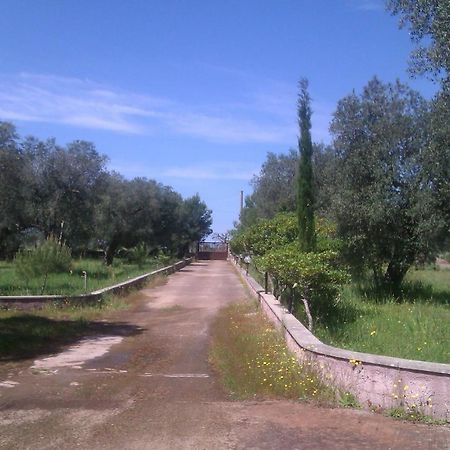 Villa Rustica Nardò Exterior foto